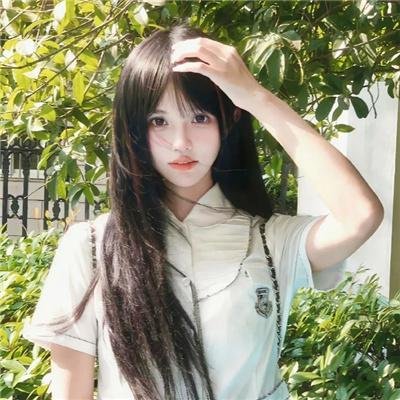丁香花开的兽道